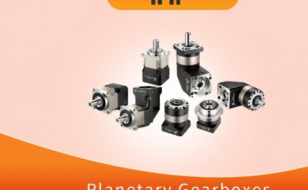 Efficiency at 90 Degrees: The Spiral Bevel Advantage in iHF Group Gearboxes